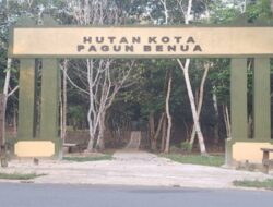 “Hutan Kota Pagun Benua, Tahun ini Akan Menambah Fasilitas Baru”