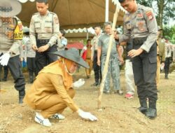 Bupati Laura Turut  Tanam Jagung Bersama Polres Nunukan Dukung Program  Presiden Prabowo Tanam Jagung 1 Juta Hektar