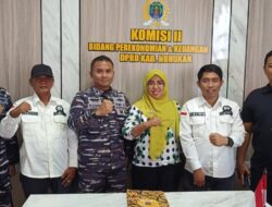 Gagas Proyeksi Pengelolaan Rumput Laut, Komisi II DPRD Nunukan Akan Gandeng Akademisi UBT