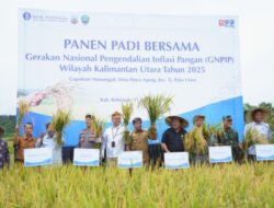Panen Padi Bersama, Momentum Menjaga Ketahanan Pangan dan Inflasi Daerah