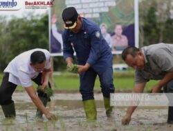 Gerakan Indonesia Menanam Di Malinau, Wabup Harapkan Dukungan Legalitas Lahan Pertanian
