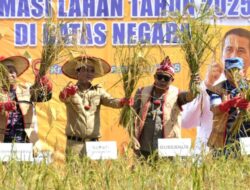 Panen Raya di Perbatasan Negeri, Gubernur Dorong Pengembangan Padi Adan