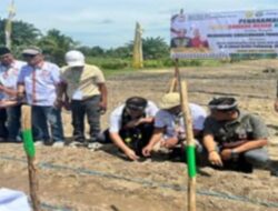Pemprov Apresiasi Penanaman Jagung Komunitas Antar Etnis Indonesia Bersatu, Dukung Swasembada Pangan Kaltara