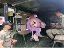 Satpol PP Nunukan Lakukan Penjangkauan dan Pembinaan terhadap Anak yang Beraktivitas Sebagai Badut Jalanan