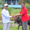 Wabup Bulungan Serahkan Bantuan Sapi Qurban di Teluk Selimau, Perkuat Semangat Toleransi dan Kebersamaan pada Momentum Iduladha